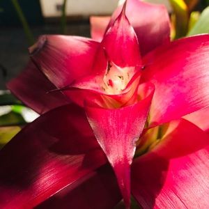 Meet your Posher, Addie